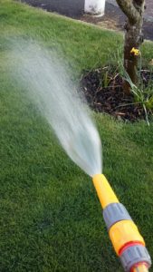alpha lawn care watering