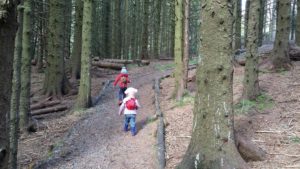exploring-the-woods-with-your-young-kids