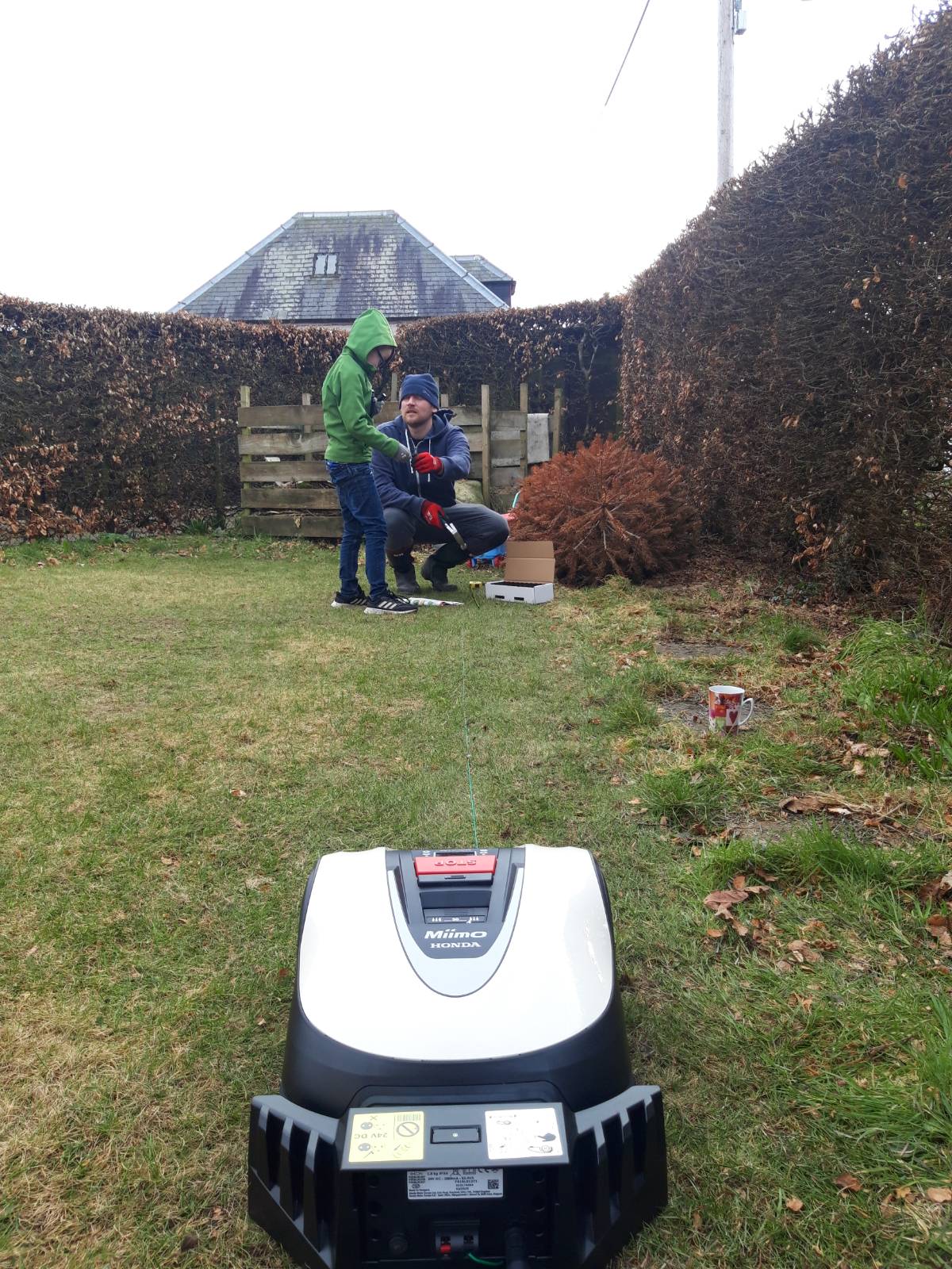 miimo robotic lawn mower reivew awesome